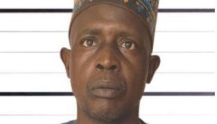 Gombe Court Jails Magistrate for Bribery, Orders ₦500,000 Compensation to EFCC