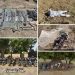 Troops Crush Terrorists in Katsina, Rescue 32 Kidnap Victims