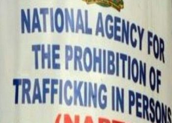 NAPTIP Busts Suspected Human Trafficking Ring, Rescues 15 In Nasarawa