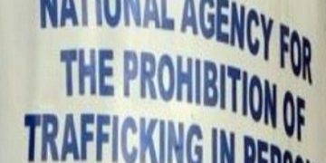 NAPTIP Busts Suspected Human Trafficking Ring, Rescues 15 In Nasarawa