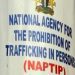 NAPTIP Busts Suspected Human Trafficking Ring, Rescues 15 In Nasarawa