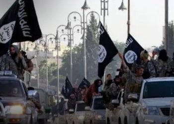 Confusion Trails ‘Second Killing’ of ISWAP Commander Abubakar Mainok In Lake Chad Basin