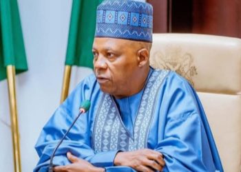 Some People Told Tinubu I Wanted To Kill Him, Take Over Power — Shettima