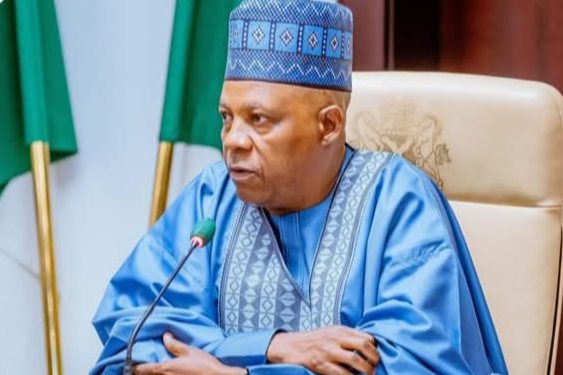 Some People Told Tinubu I Wanted To Kill Him, Take Over Power — Shettima