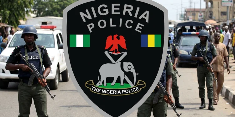 Police Gun Down 3 Kidnap Suspects, Rescue Abducted Man In Oyo Forest Raid