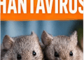 No Hantavirus Case in Nigeria, NCDC Assures Amid Outbreak In Global Cruise Ship