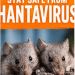 No Hantavirus Case in Nigeria, NCDC Assures Amid Outbreak In Global Cruise Ship
