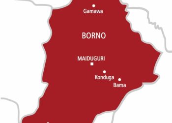 Boko Haram Raid School in Borno, Scores of Students Feared Abducted