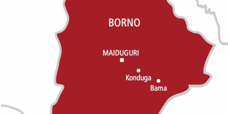 Boko Haram Raid School in Borno, Scores of Students Feared Abducted
