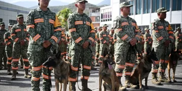 US, UK, Netherlands, Others Send Sniffer Dogs To Venezuela As Death Toll From Twin Earthquakes Hits 920