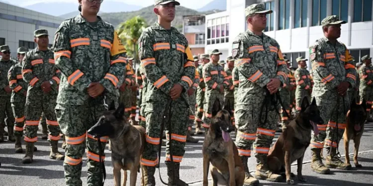 US, UK, Netherlands, Others Send Sniffer Dogs To Venezuela As Death Toll From Twin Earthquakes Hits 920