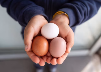 Any Nutritional Difference Between Brown and White Eggs?