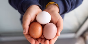 Any Nutritional Difference Between Brown and White Eggs?