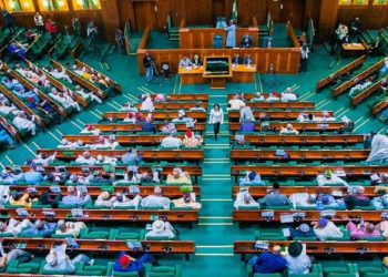 Bill To Create 157 Legislative Seats For Nigerian Women Lands In House Of Reps