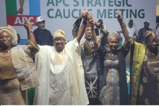Kudirat Balogun, My Partner In Taking Ogun To the Next Level — Senator Adeola