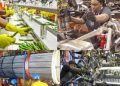 MAN Raises Alarm Over N1.92tn Drop In Bank Credit To Manufacturers, Says Industrial Growth At Risk