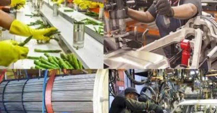 MAN Raises Alarm Over N1.92tn Drop In Bank Credit To Manufacturers, Says Industrial Growth At Risk