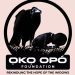 International Widows Day: Oko Opo Foundation Seeks Special Gov’t Agency for Widows, Dependent Children