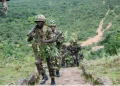 ISWAP Closes Foreign Fighter Routes Amid Intense US-Nigerian Military Pressure