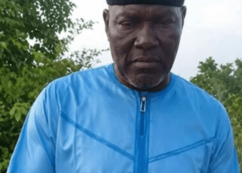 Kidnappers Demand Release of Arrested Gang Members, Seized Livestock for Freedom of Ex-Defence Spokesman, Wife