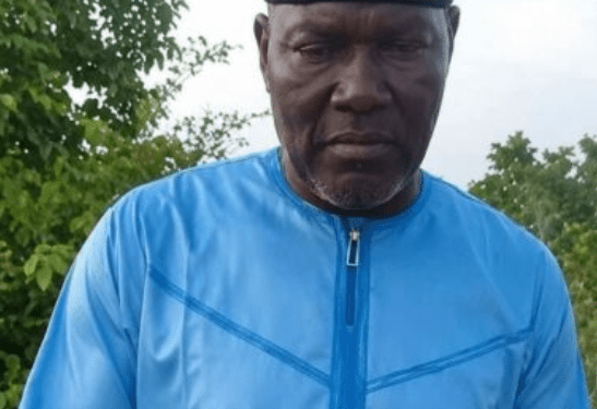 Kidnappers Demand Release of Arrested Gang Members, Seized Livestock for Freedom of Ex-Defence Spokesman, Wife