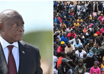 Thousands Flee South Africa As Xenophobia Deadline Expires