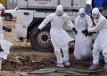 Tinubu Sets Up Ebola Task Force, Releases N10bn To Boost Nigeria’s Preparedness