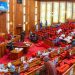 Senate Halts State Police Bill as Lawmakers Mourn Reps Member Yaya Tongo