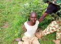 Troops Arrest Suspected Sudanese Terrorist Fighter, Ghanaian Illegal Immigrant in Borno