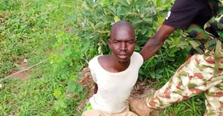 Troops Arrest Suspected Sudanese Terrorist Fighter, Ghanaian Illegal Immigrant in Borno