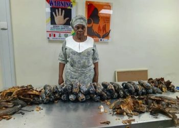 NDLEA Nabs 67-Year-Old UK-Based Grandma with 13kg Cocaine Packaged as Plantain Peels