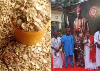 Asaba Traditional Council Bans Sale of Ogbono Seed in Indigenous Markets