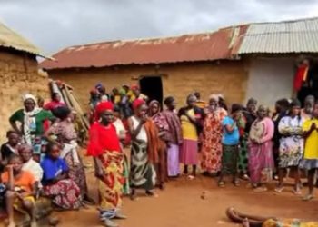 Nine Family Members, Two-Month-Old Baby Killed in Fresh Plateau Attack