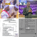 Court Orders Warri – Based Prophet To Pay Egbesu Worshippers ₦205m, Rebuild Destroyed Shrine