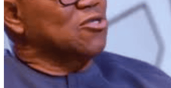 NDC’s Obi Reveals Indonesian President’s Secret To Ending ‘Almajiri’ – Widespread Street Begging