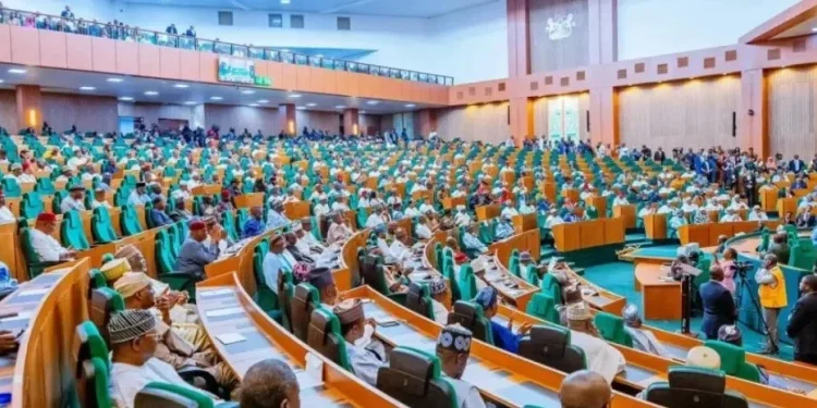 Speaker Abbas Rules Against Motion Summoning Tinubu Amid Rowdy Reps Session