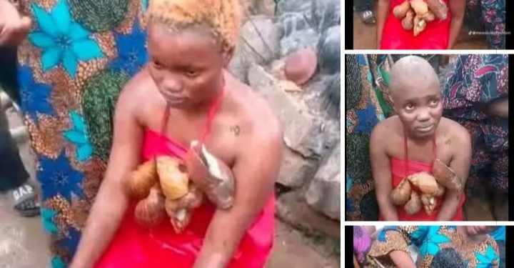 ‘I Didn’t Record Oloolu,’ Female TikToker Breaks Silence