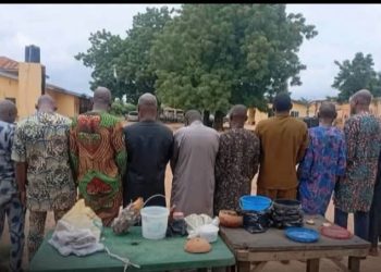 Police Arrest Suspected Human Parts Dealers in Oyo, Recover Heart, Skull Fragments, Charms