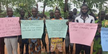 ‘N100m Gone’: Ogun Farmers Protest Herders’ Destruction, Beg Tinubu, Abiodun for Help