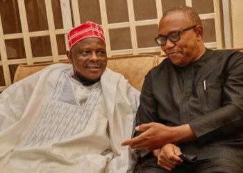 Crisis Deepens: OK Movement Head Steps Down Amid Obi/Kwankwaso NDC 2027 Push