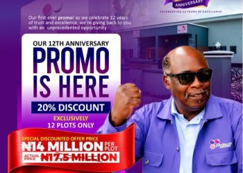 Diaspora Real Estate Boom: Pelican Valley Drops Plot Price to N14m in Ogun as Firm Marks 12 Years, Zero Lawsuits
