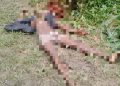 Troops Raid IPOB/ESN Camps in Anambra, Kill One Fighter, Seize Guns, Bomb Materials