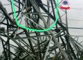 Suspected Vandal Crushed Under Collapsed 330kV Transmission Tower in Delta
