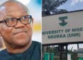 LP Chieftain Arabambi Drags UNN to Court Over Peter Obi’s Academic Records