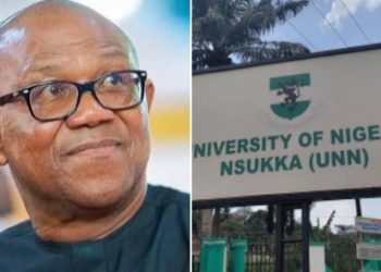 LP Chieftain Arabambi Drags UNN to Court Over Peter Obi’s Academic Records