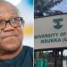 LP Chieftain Arabambi Drags UNN to Court Over Peter Obi’s Academic Records