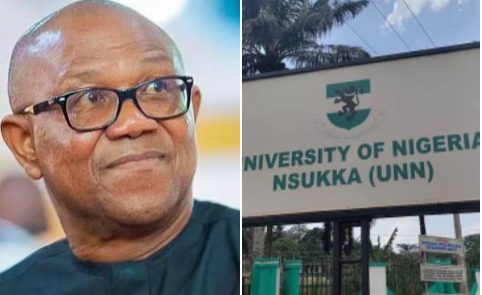 LP Chieftain Arabambi Drags UNN to Court Over Peter Obi’s Academic Records