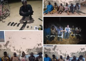 Boko Haram Fighter Surrenders With AK-47 as Troops Arrest Six Kidnap Suspects in Adamawa