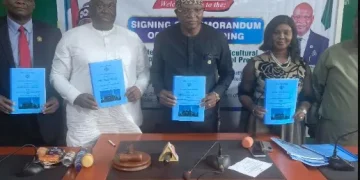 €256m Bioethanol Plant: ORBDA, 3D NNPC Seal Deal to Drive Cassava Value Chain