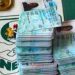 INEC Sets October 9 for Nationwide PVC Collection